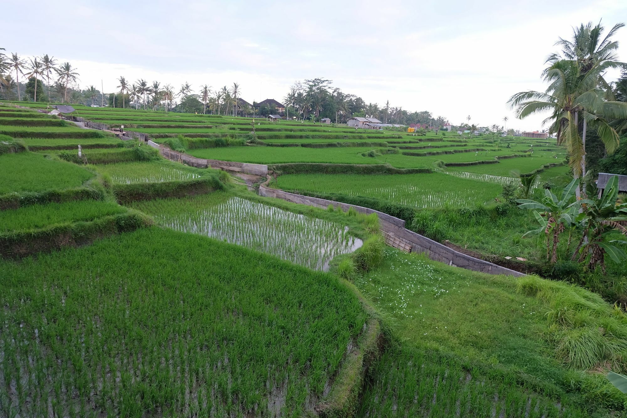 Greenfield Luxury Villas Ubud  Exterior photo