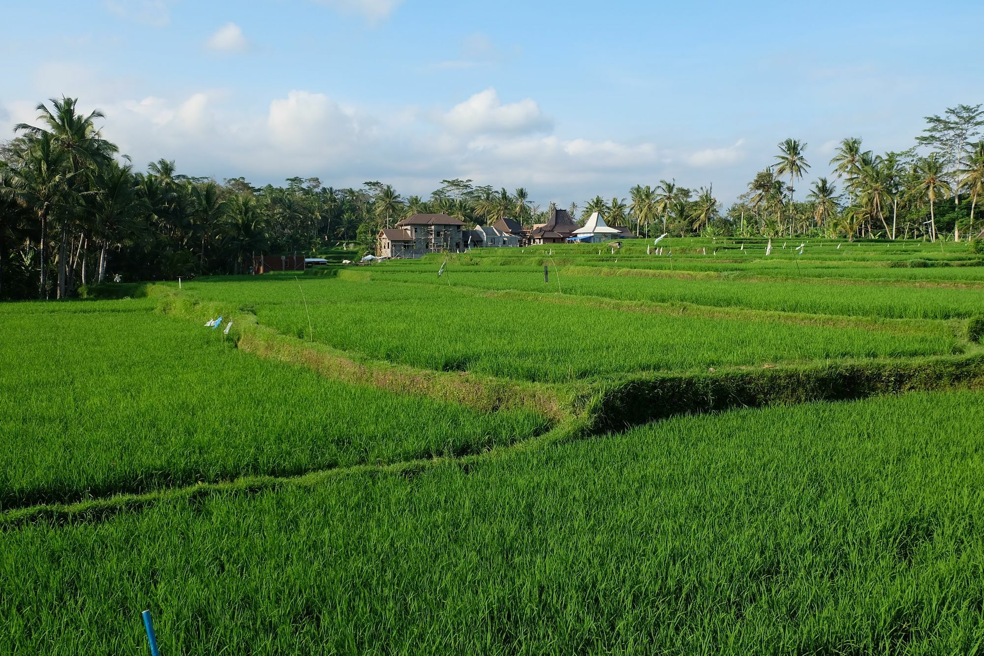 Greenfield Luxury Villas Ubud  Exterior photo