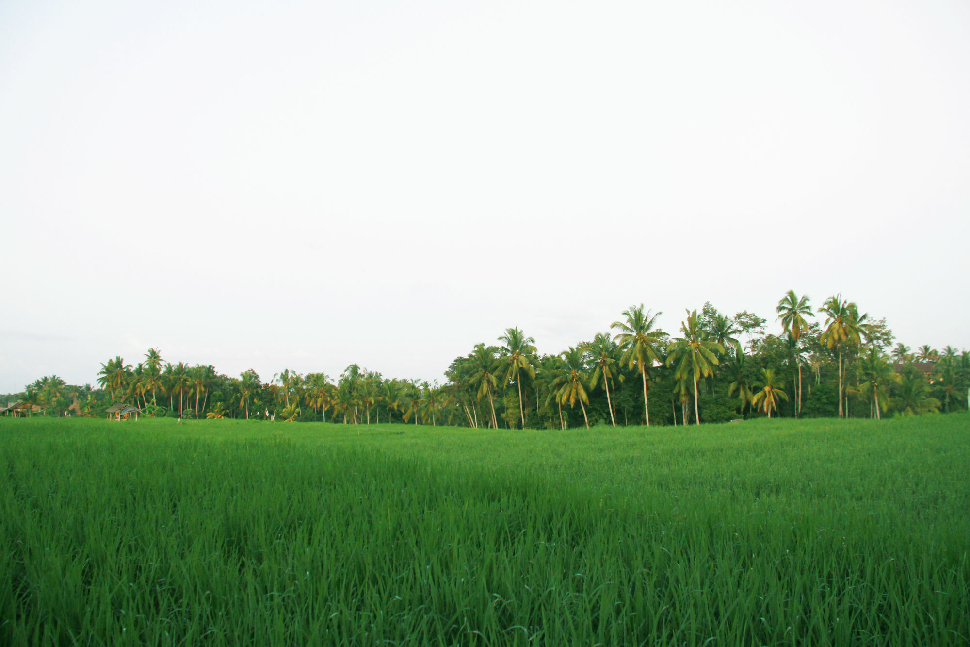 Greenfield Luxury Villas Ubud  Exterior photo